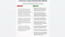 Blog Yazısı Düzenleme