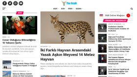İş örneğim