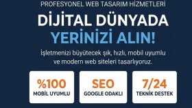 profesyonel şekilde bir web sitesi yapabilirim