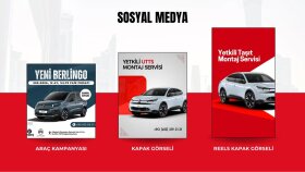 Citroen Diyarbakır - 2