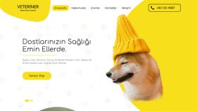 Veteriner Teması