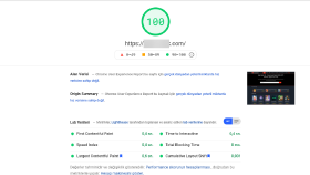 Profesyonel Wordpress Hızlandırma Çalışması