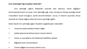İngilizce, Türkçe yazılarınızı word dosyasına aktarabilirim