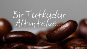 Altıntelve sosyal medya tasarımı