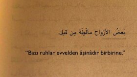  Arapça metinleri kusursuz şekilde Türkçeye çevirebilirim
