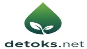 Detoks.net — Sağlık ve Yaşam Tarzı Odaklı Modern Web Projesi