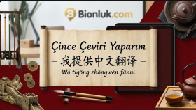 çince çeviri yaparım