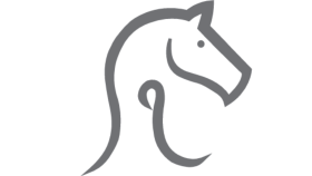 profesyonel ve yaratıcı logo tasarımı yaparım