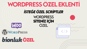 Wordpress siteniz için özel eklenti yazarım