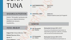 CV Hazırlama 