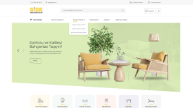 Web Tasarım