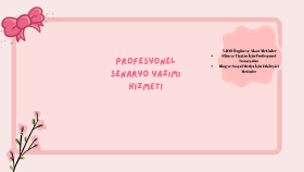 profesyonel ve özgün senaryolar yazarım