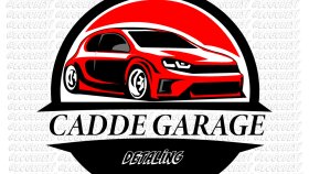 dikkat çekici ve özgün logo tasarlıyorum