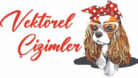 çizim tasarımı yapabilirim
