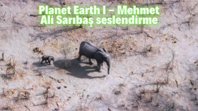 Planet Earth I belgeseli seslendirmesi