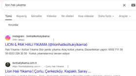 Lion Halı Yıkama