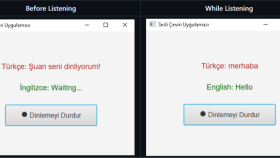 TurkishToEnglishTranscriber