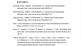 Örnek APA Formatında Hazırlanmış Kaynakça