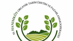 Kooperatif Logo Tasarımı