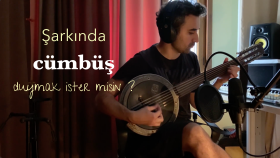 şarkınıza cümbüş perdesiz gitar benzeri tellileri çalarım