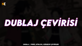 Örnek Çeviri