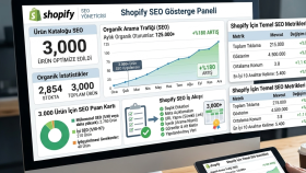 3.000+ Ürünlü E-Ticaret / Dekorasyon Markası SEO Çalışması