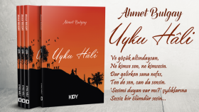 Uyku Hâli şiir Kitabı Kapak Tasarımı
