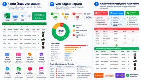 E-Ticaret Ürün Verisi Kontrol ve Temizleme Sistemi