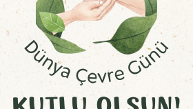 Sosyal Medya Postları