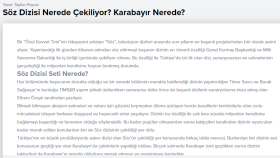 Web Sitesi İçerik Örneği 3