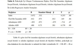 SPSS Veri Girişi, Veri Analizi ve Raporlama (Sosyal Bilimler) 