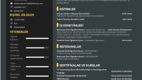 Göz Alıcı Cv Tasarımları 