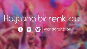Logo Tasarımı World Organization 