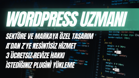 profesyonel wordpress websitenizi bütçenize uygun yaparım
