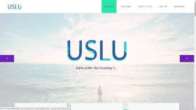 Web Site Örnekleri