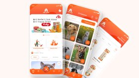 Anadolu Pet – UI/UX App