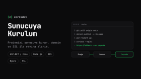 ASP.NET ve Node.js projenizi sunucuya kurup yayına alırım
