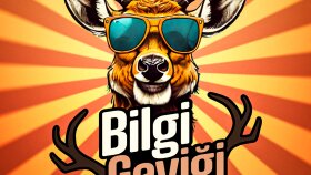 İNTRO TASARIMI