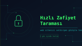 web sitenize saldırgan gözüyle bakıp zafiyet buluyorum