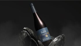 Babil Dry Red Wine - Packaging Design