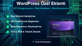 sitenize özel eklenti geliştirir ve API entegrasyonu yaparım