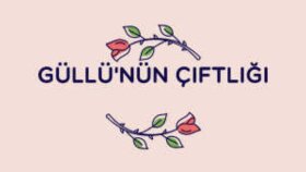 firmanız için güzel logolar tasarlayabilirim