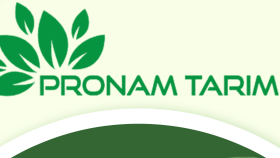 PronamTarım Logo tasarım çalışması