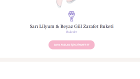 Ai Destekli E-ticaret Web Sitesi