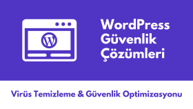  web sitenizi temizleyip, güvenli hale getirebilirim