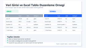 Veri Girişi ve Excel Tablo Düzenleme Örneği