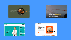 Wordpress ile profesyonel bir web sitesi hazırlarım
