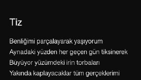 tiz