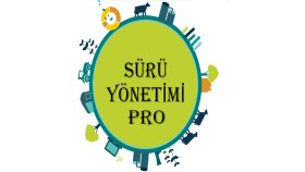 Sürü Yönetimi