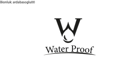 Kurumsal Şirket Logo Örneği